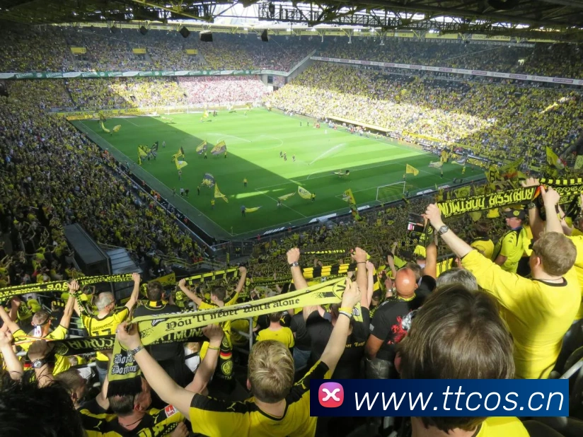 beat365唯一官方网站平台生态图